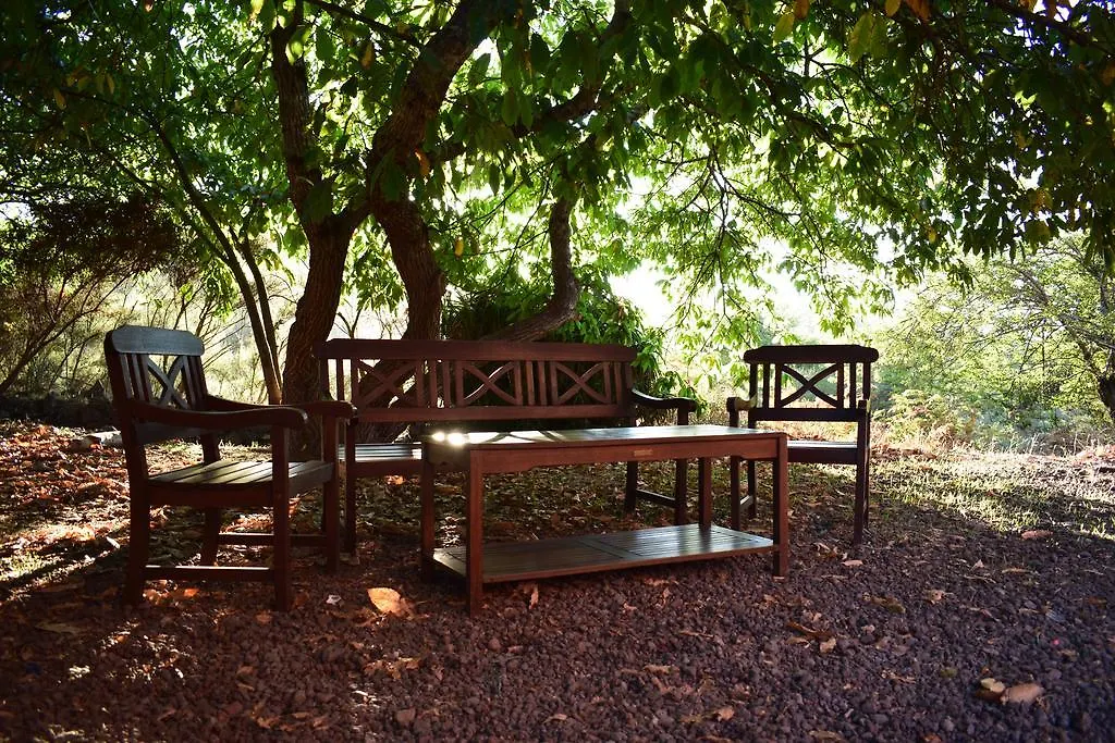 Gospodarstwo wiejskie Finca Don Leandro Hotel El Rosario